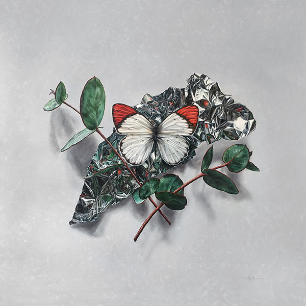 Scarlet Edged by Alex Louisa | Lethbridge Gallery